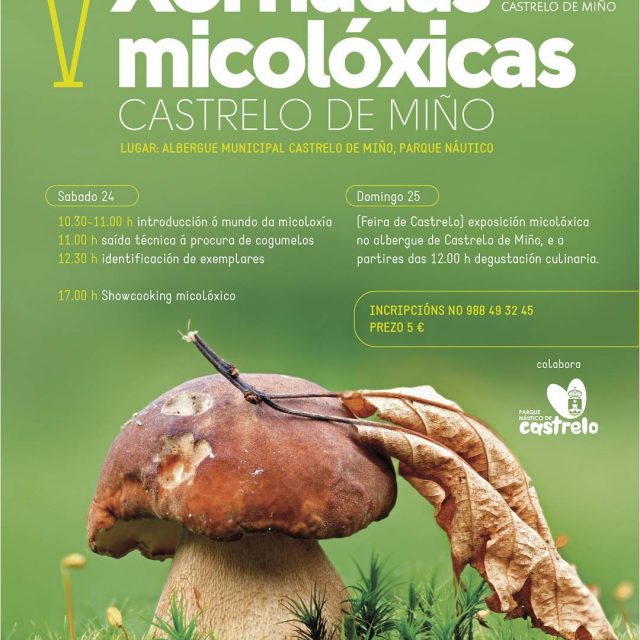V Jornada Micológicas de Castrelo de Miño