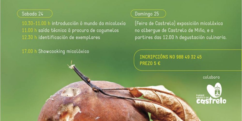 V Xornada Micolóxicas de Castrelo de Miño
