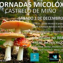 VI Xornadas Micolóxicas en Castrelo de Miño