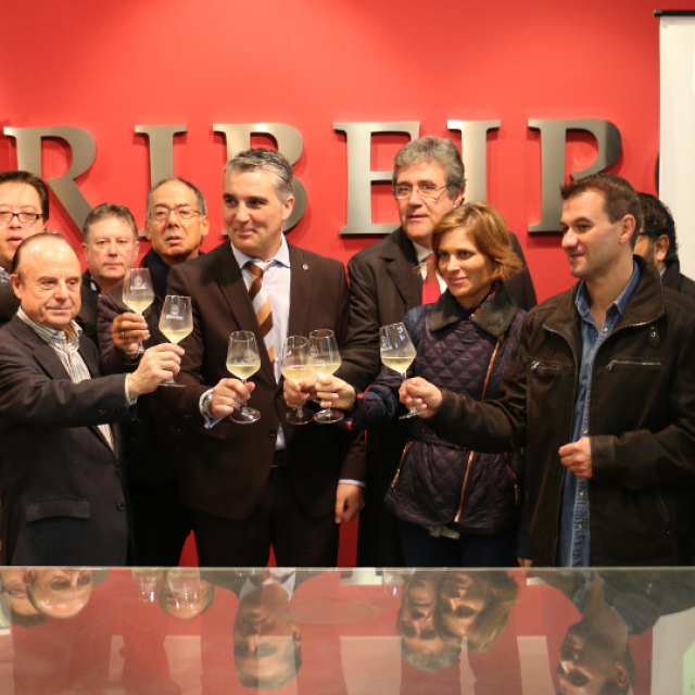 Ruta del Vino del Ribeiro: nuevo material promocional